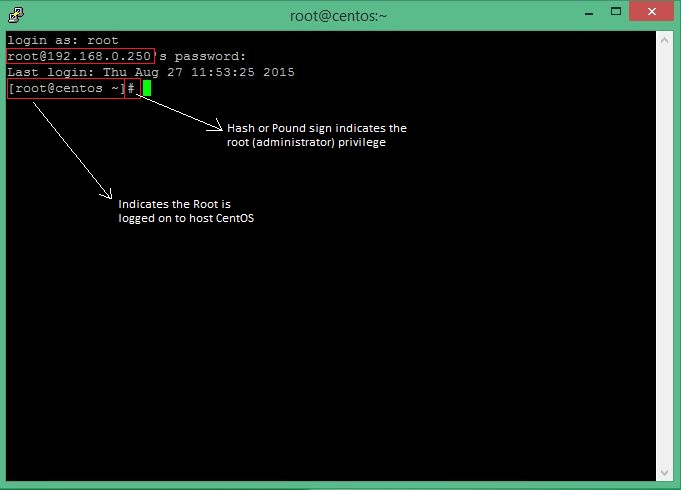 Linux пароль по умолчанию. Командная строка Linux. Структура командной строки Linux. Консольная строка линукс. Пингвин линукс в командной строке.