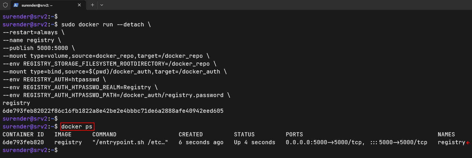 Running private docker registry with authentication parameters